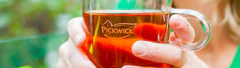 Pickwick English Tea 100x2g