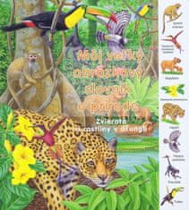 Kolektív: Zvieratá a rastliny v džungli - Môj veľký obrázkový slovník o prírode