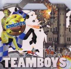 autor neuvedený: Teamboys Knights Stickers!