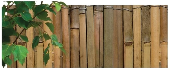 NOHEL GARDEN Rohož bambus štiepaný 2x5m