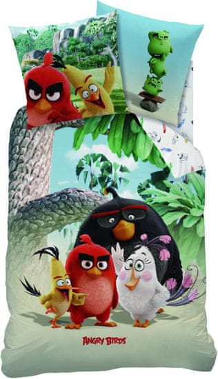 CTI Angry Birds Palm Beach