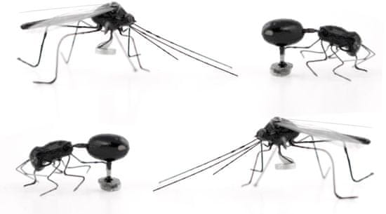 Kikkerland Sada magnetiek Insect 4 ks