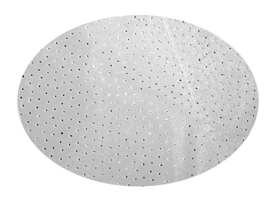 EverGreen Dekoračná organza bodky strieborná 2 x 1,5 m