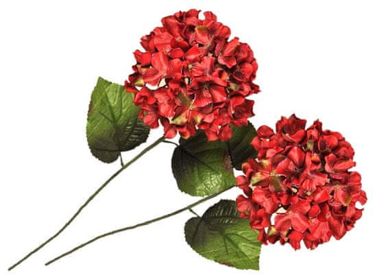 EverGreen Hortenzia veľkokvetá 2 ks červená