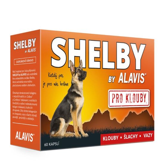 Alavis Shelby pre kĺby 60tbl