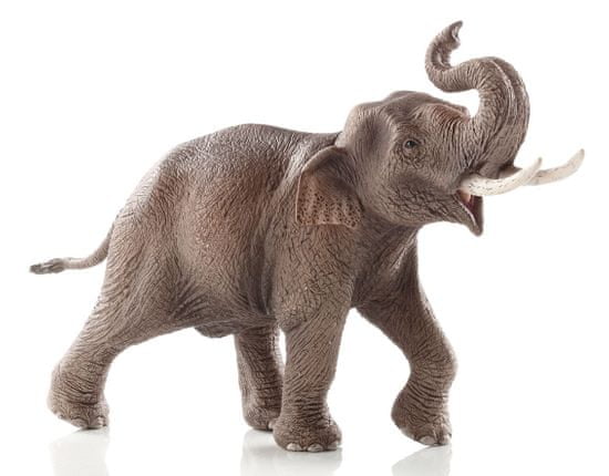 Schleich ázijský slon samec 14754