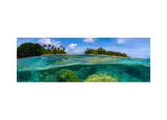 Dimex fototapety do kuchyne, samolepiace - Koralový útes 60 x 180 cm