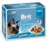 Brit Premium Cat Delicate Fillets in Gravy Family Plate 12 x 85g
