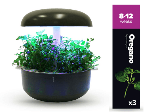 Plantui náplň pre inteligentný kvetináč - Oregano, 3ks v balení