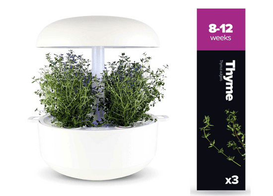 Plantui náplň pre inteligentný kvetináč - Tymián, 3ks v balení