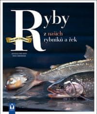 Kolektív autorov: Ryby z našich rybníků a řek