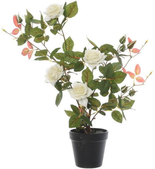 Kaemingk Ružový ker v kvetináči, biely, 50 cm