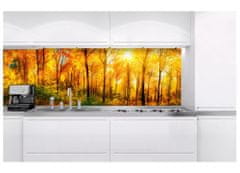 Dimex fototapeta do kuchyne KI-180-084 Slnečný les 60 x 180 cm