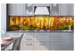 Dimex fototapeta do kuchyne KI-260-084 Slnečný les 60 x 260 cm