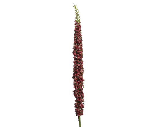 Kaemingk Květina "delphinium" vínová, 117 cm