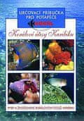 autor neuvedený: Korálové útesy v Karibiku 