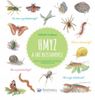 Kolektív autorov: Hmyz a iné bezstavovce