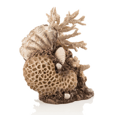 Oase Akváriová dekorácia BiOrb coral-shells ornament natural