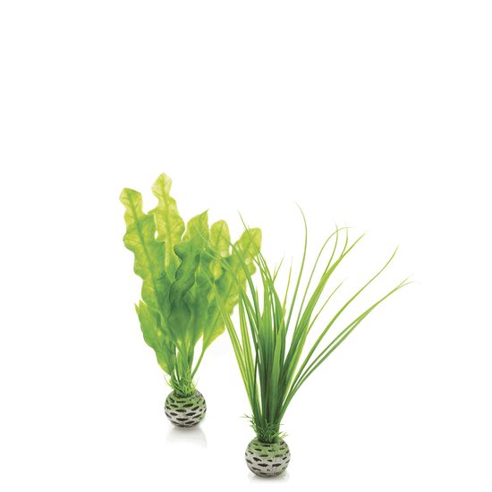 Oase Akváriová dekorácia biOrb Easy plant set S green