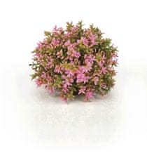 Oase Akváriová dekorácia biOrb Flower ball pink