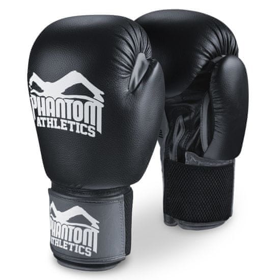 PROFESSIONAL FIGHTER Boxerské rukavice "Ultra Training" 14oz