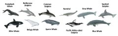 Safari Ltd. Tuba - Veľryby a delfíny