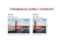 Dimex fototapeta MS-5-0015 Golden Gate 375 x 250 cm