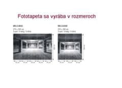 Dimex fototapeta MS-3-0035 Priemyselná hala 225 x 250 cm