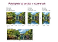 Dimex fototapeta MP-2-0060 panoráma - Oblúkový most 375 x 150 cm