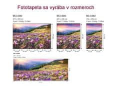 Dimex fototapeta MP-2-0064 panoráma - Krokusy na jar 375 x 150 cm
