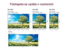 Dimex fototapeta MP-2-0096 panoráma - Kvitnúci strom 375 x 150 cm