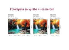 Dimex fototapeta MS-3-0083 Vodopád v lese 225 x 250 cm
