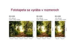 Dimex fototapeta MS-3-0093 Park 225 x 250 cm