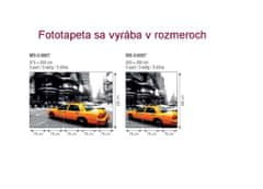 Dimex fototapeta MS-3-0007 Žltý taxík 225 x 250 cm