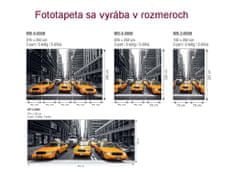 Dimex fototapeta MS-2-0008 Žlté taxi 150 x 250 cm