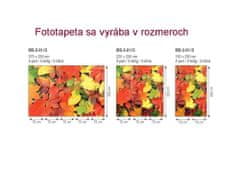 Dimex fototapeta MS-5-0115 Jesenné listy 375 x 250 cm