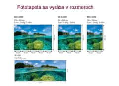 Dimex fototapeta MP-2-0200 panoráma - Koralový útes 375 x 150 cm
