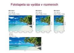 Dimex fototapeta MS-2-0215 Rajská pláž 150 x 250 cm