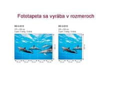 Dimex fototapeta MS-5-0218 Delfíny 375 x 250 cm