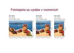 Dimex fototapeta MS-5-0205 Grécko 375 x 250 cm