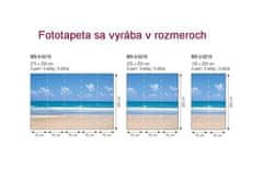 Dimex fototapeta MS-2-0210 Prázdna pláž 150 x 250 cm