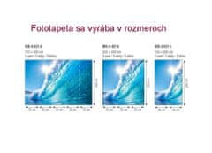 Dimex fototapeta MS-2-0214 Morská vlna 150 x 250 cm