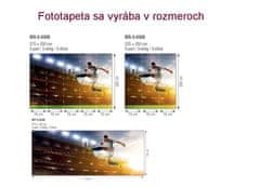 Dimex fototapeta MS-3-0306 Futbalový hráč 225 x 250 cm