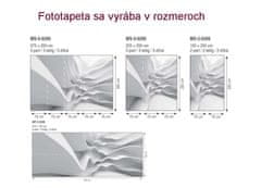 Dimex fototapeta MP-2-0295 panoráma - 3D vlna 375 x 150 cm