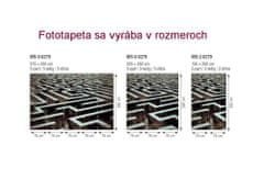 Dimex fototapeta MS-2-0279 Labyrint 150 x 250 cm