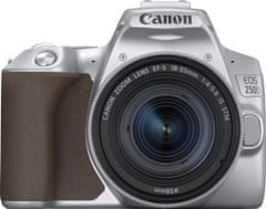 Canon EOS 250D + 18-55 EF-S IS STM Silver (3461C001)