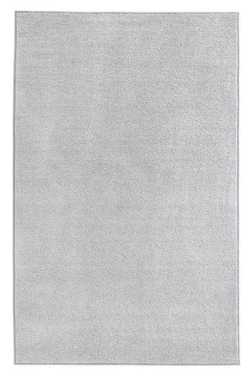 Hanse Home AKCIA: 80x200 cm Kusový koberec Pure 102615 Grau