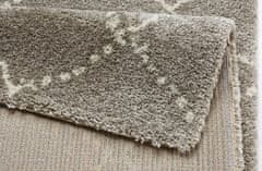 Mint Rugs Kusový koberec Allure 102752 grau creme 120x170