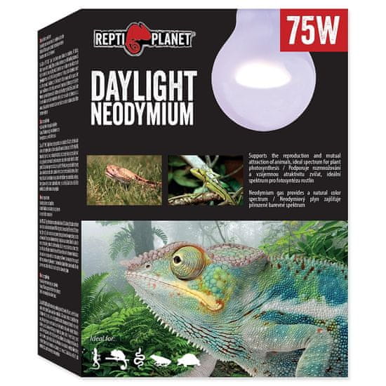 REPTI PLANET žiarovka Daylight Neodymium 75 W