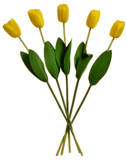 EverGreen Tulipán 2 listy, 60 cm - kytica 5 ks